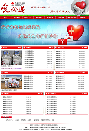 沈阳陆军总院网站设计效果图