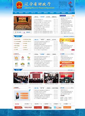 辽宁省财政厅网站设计效果图